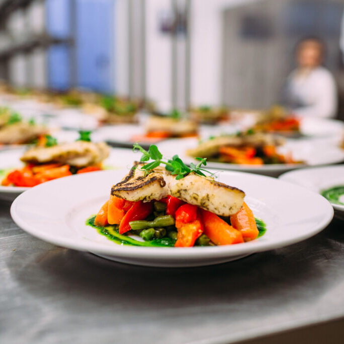 Meat dish with vegetables for catering. Lots of plates.